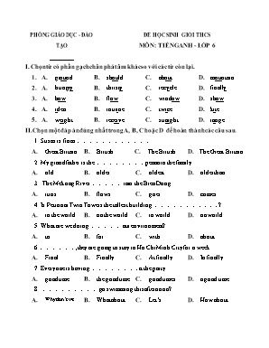 Đề thi học sinh giỏi môn Tiếng Anh Lớp 6 (Có đáp án)